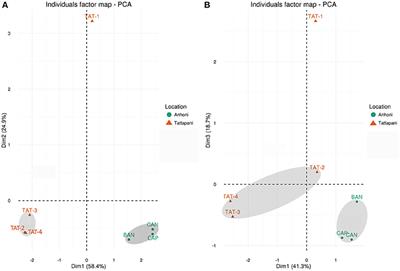 Metagenomic Analysis of Hot Springs in Central India Reveals Hydrocarbon Degrading Thermophiles and Pathways Essential for Survival in Extreme Environments